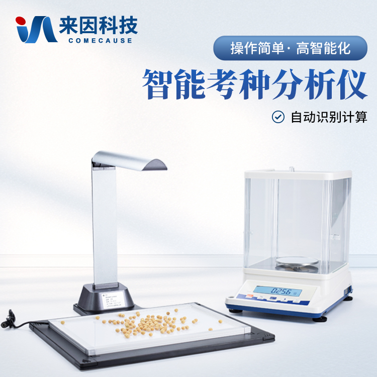 圣安多尼堂区西南科技大学（南京农…