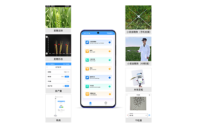圣安多尼堂区小麦表型测量仪IN-XM05
